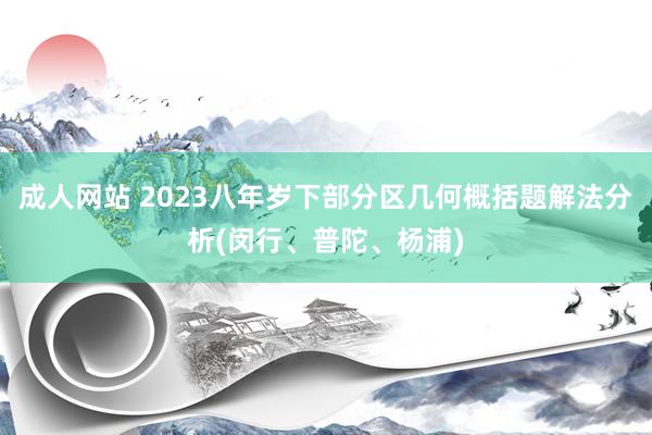 成人网站 2023八年岁下部分区几何概括题解法分析(闵行、普陀、杨浦)