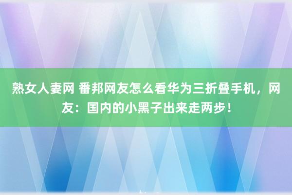 熟女人妻网 番邦网友怎么看华为三折叠手机，网友：国内的小黑子出来走两步！