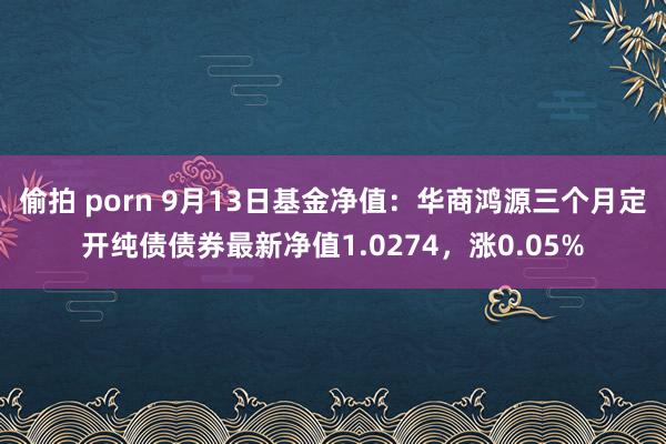 偷拍 porn 9月13日基金净值：华商鸿源三个月定开纯债债券最新净值1.0274，涨0.05%