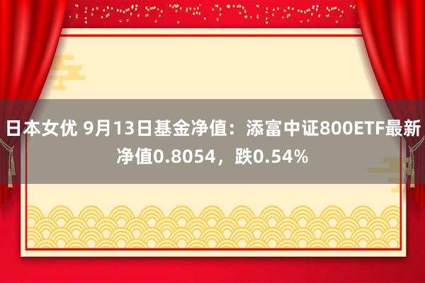 日本女优 9月13日基金净值：添富中证800ETF最新净值0.8054，跌0.54%