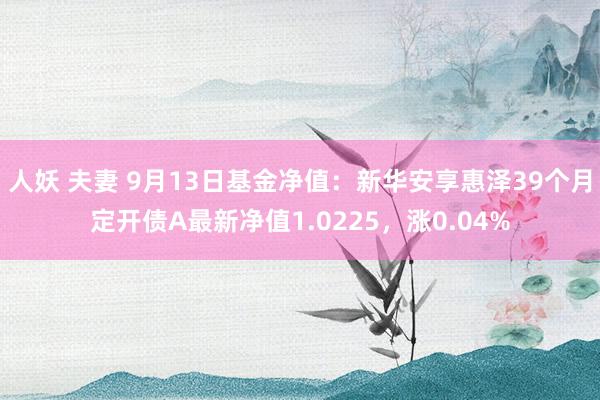 人妖 夫妻 9月13日基金净值：新华安享惠泽39个月定开债A最新净值1.0225，涨0.04%