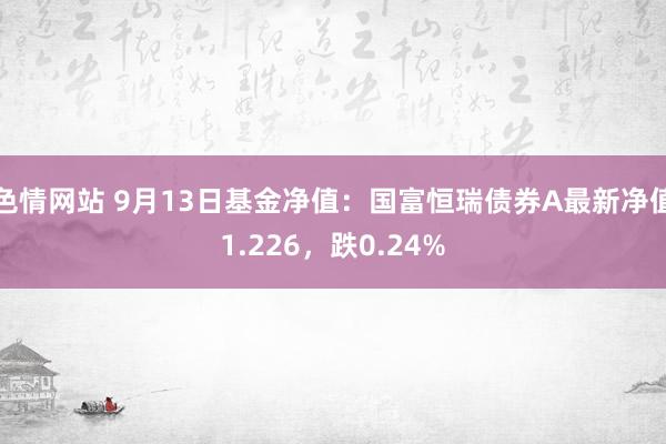 色情网站 9月13日基金净值：国富恒瑞债券A最新净值1.226，跌0.24%