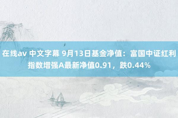 在线av 中文字幕 9月13日基金净值：富国中证红利指数增强A最新净值0.91，跌0.44%