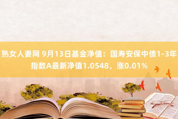 熟女人妻网 9月13日基金净值：国寿安保中债1-3年指数A最新净值1.0548，涨0.01%