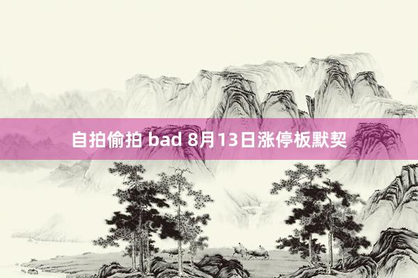 自拍偷拍 bad 8月13日涨停板默契