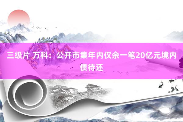 三级片 万科：公开市集年内仅余一笔20亿元境内债待还