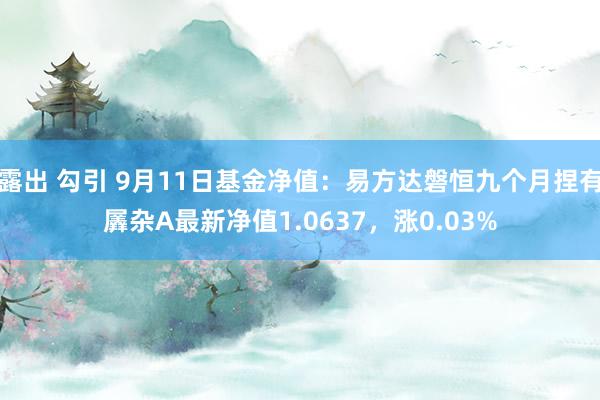 露出 勾引 9月11日基金净值：易方达磐恒九个月捏有羼杂A最新净值1.0637，涨0.03%