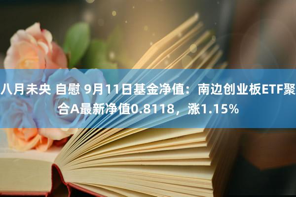 八月未央 自慰 9月11日基金净值：南边创业板ETF聚合A最新净值0.8118，涨1.15%