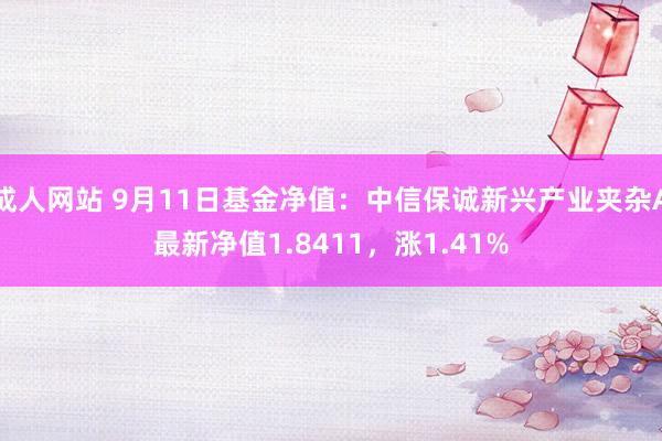 成人网站 9月11日基金净值：中信保诚新兴产业夹杂A最新净值1.8411，涨1.41%