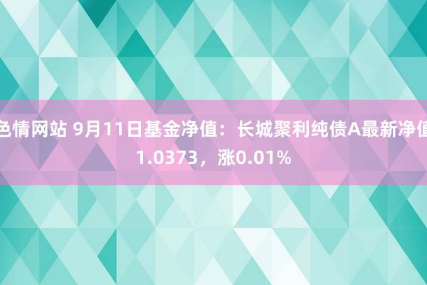 色情网站 9月11日基金净值：长城聚利纯债A最新净值1.0373，涨0.01%