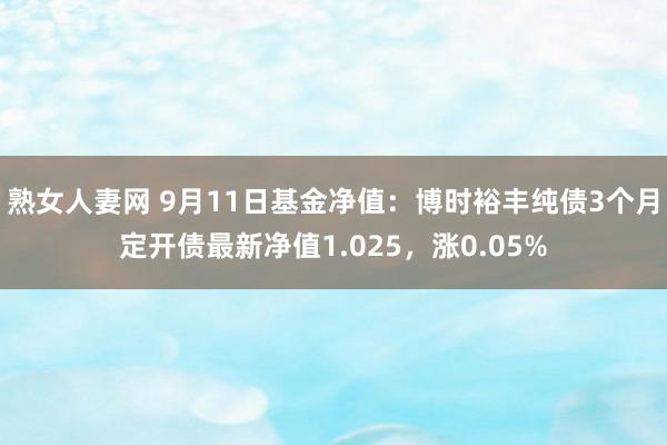 熟女人妻网 9月11日基金净值：博时裕丰纯债3个月定开债最新净值1.025，涨0.05%