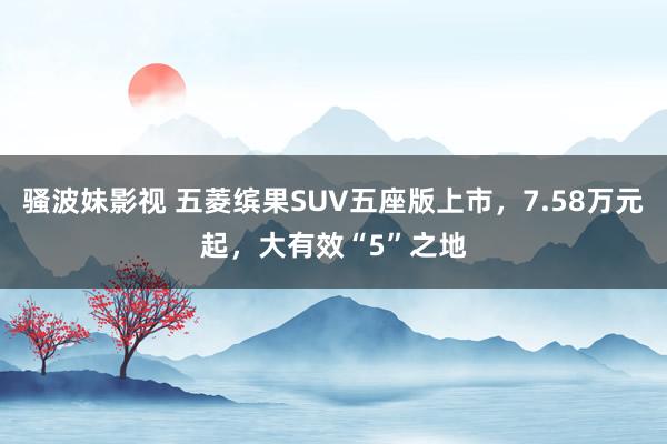 骚波妹影视 五菱缤果SUV五座版上市，7.58万元起，大有效“5”之地