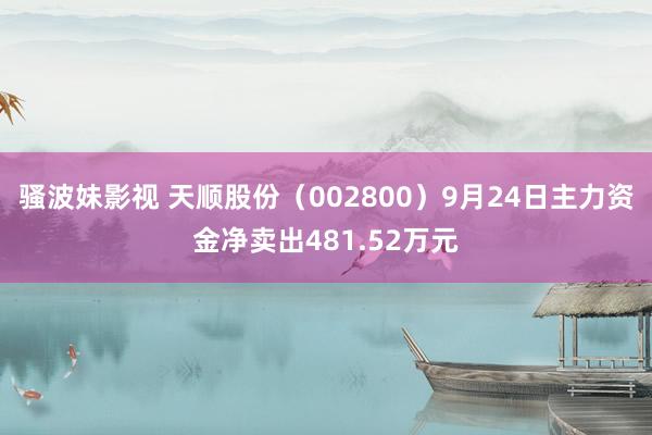 骚波妹影视 天顺股份（002800）9月24日主力资金净卖出481.52万元