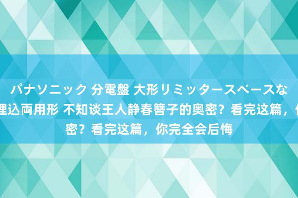 パナソニック 分電盤 大形リミッタースペースなし 露出・半埋込両用形 不知谈王人静春簪子的奥密？看完这篇，你完全会后悔