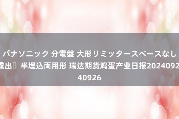 パナソニック 分電盤 大形リミッタースペースなし 露出・半埋込両用形 瑞达期货鸡蛋产业日报20240926