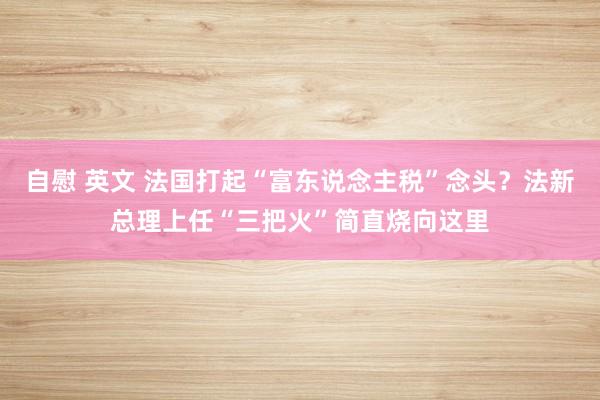 自慰 英文 法国打起“富东说念主税”念头？法新总理上任“三把火”简直烧向这里