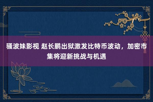 骚波妹影视 赵长鹏出狱激发比特币波动，加密市集将迎新挑战与机遇