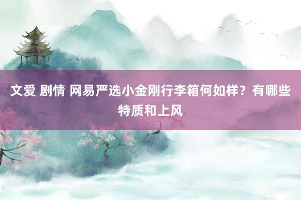 文爱 剧情 网易严选小金刚行李箱何如样？有哪些特质和上风