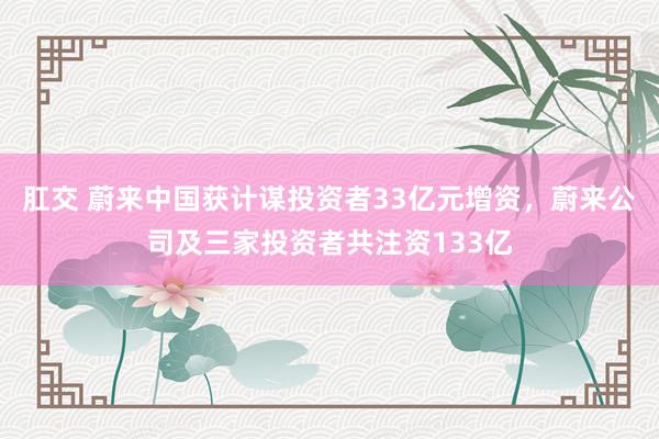 肛交 蔚来中国获计谋投资者33亿元增资，蔚来公司及三家投资者共注资133亿