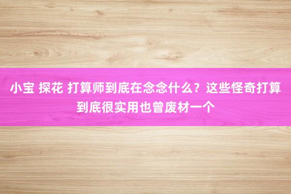 小宝 探花 打算师到底在念念什么？这些怪奇打算到底很实用也曾废材一个