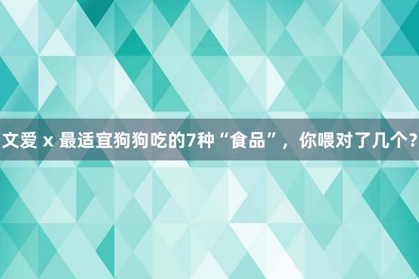 文爱 x 最适宜狗狗吃的7种“食品”，你喂对了几个？