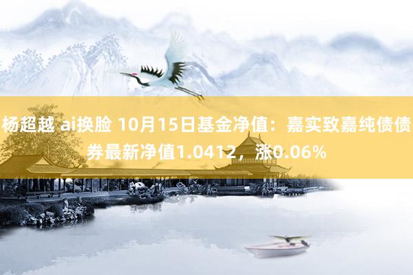 杨超越 ai换脸 10月15日基金净值：嘉实致嘉纯债债券最新净值1.0412，涨0.06%