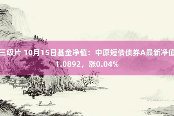 三级片 10月15日基金净值：中原短债债券A最新净值1.0892，涨0.04%