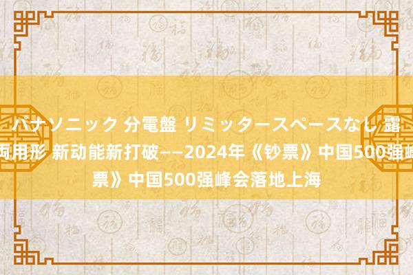 パナソニック 分電盤 リミッタースペースなし 露出・半埋込両用形 新动能新打破——2024年《钞票》中国500强峰会落地上海