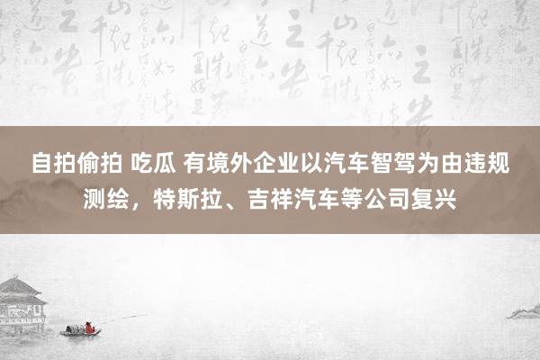 自拍偷拍 吃瓜 有境外企业以汽车智驾为由违规测绘，特斯拉、吉祥汽车等公司复兴