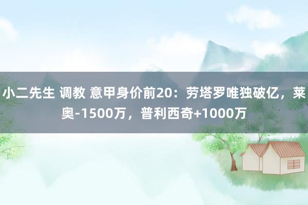 小二先生 调教 意甲身价前20：劳塔罗唯独破亿，莱奥-1500万，普利西奇+1000万