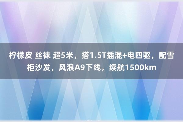 柠檬皮 丝袜 超5米，搭1.5T插混+电四驱，配雪柜沙发，风浪A9下线，续航1500km