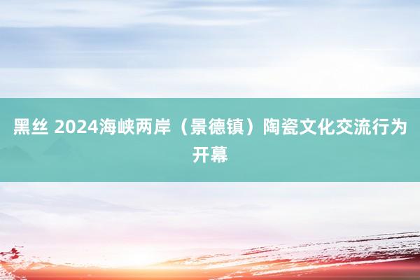 黑丝 2024海峡两岸（景德镇）陶瓷文化交流行为开幕