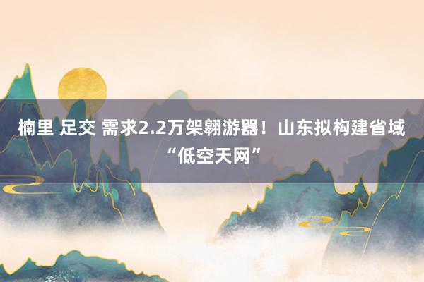 楠里 足交 需求2.2万架翱游器！山东拟构建省域“低空天网”