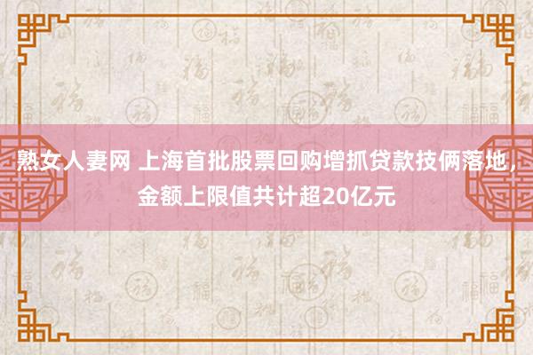 熟女人妻网 上海首批股票回购增抓贷款技俩落地，金额上限值共计超20亿元