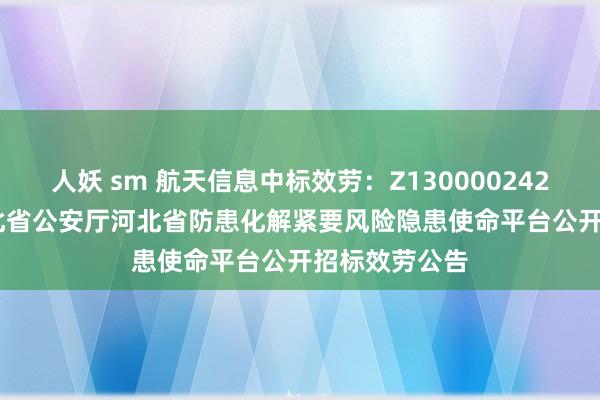 人妖 sm 航天信息中标效劳：Z1300002427781001河北省公安厅河北省防患化解紧要风险隐患使命平台公开招标效劳公告