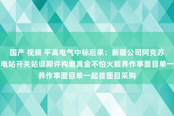 国产 视频 平高电气中标后果：新疆公司阿克苏水电小石峡水电站开关站诞期许构磨真金不怕火颐养作事面目单一起首面目采购