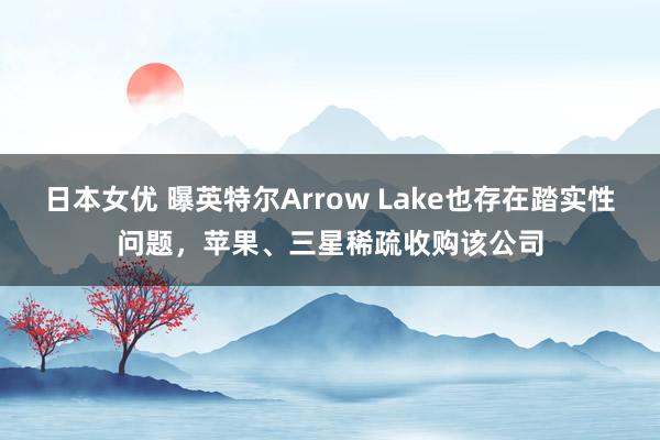 日本女优 曝英特尔Arrow Lake也存在踏实性问题，苹果、三星稀疏收购该公司