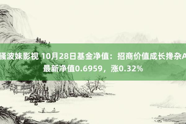 骚波妹影视 10月28日基金净值：招商价值成长搀杂A最新净值0.6959，涨0.32%