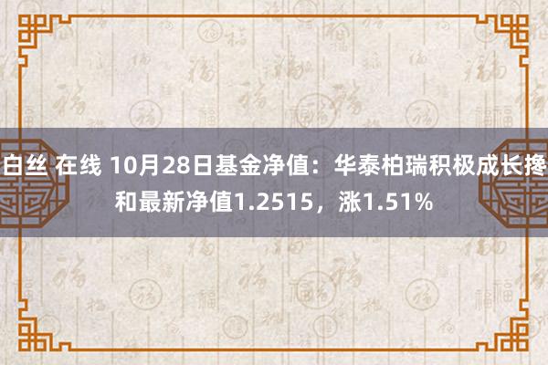 白丝 在线 10月28日基金净值：华泰柏瑞积极成长搀和最新净值1.2515，涨1.51%