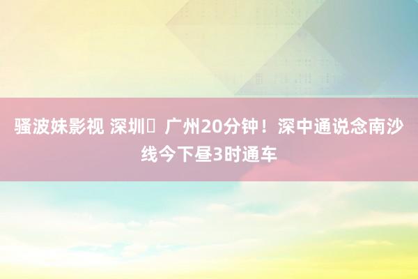 骚波妹影视 深圳⇋广州20分钟！深中通说念南沙线今下昼3时通车