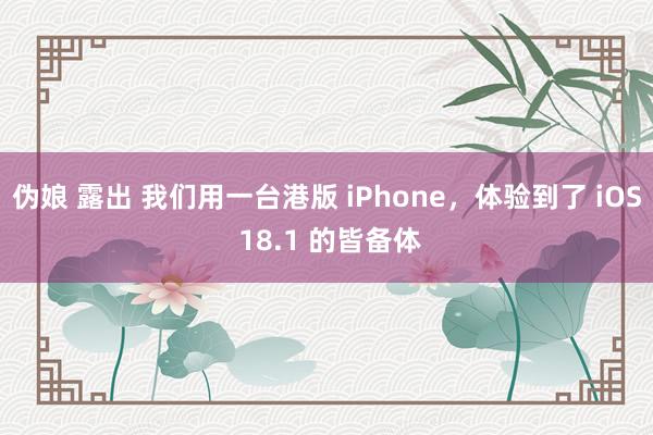 伪娘 露出 我们用一台港版 iPhone，体验到了 iOS 18.1 的皆备体