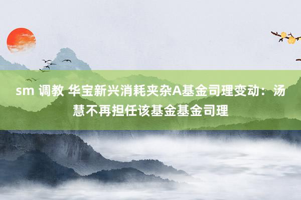 sm 调教 华宝新兴消耗夹杂A基金司理变动：汤慧不再担任该基金基金司理