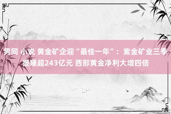 男同 小说 黄金矿企迎“最佳一年”：紫金矿业三季报赚超243亿元 西部黄金净利大增四倍