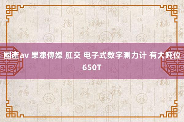 國產av 果凍傳媒 肛交 电子式数字测力计 有大吨位650T