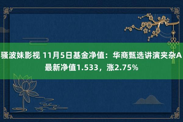 骚波妹影视 11月5日基金净值：华商甄选讲演夹杂A最新净值1.533，涨2.75%