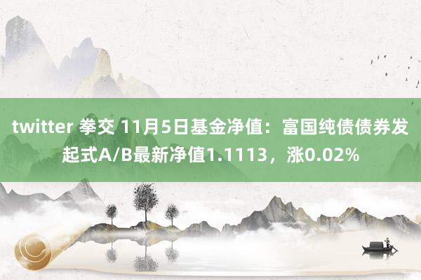 twitter 拳交 11月5日基金净值：富国纯债债券发起式A/B最新净值1.1113，涨0.02%