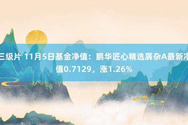 三级片 11月5日基金净值：鹏华匠心精选羼杂A最新净值0.7129，涨1.26%