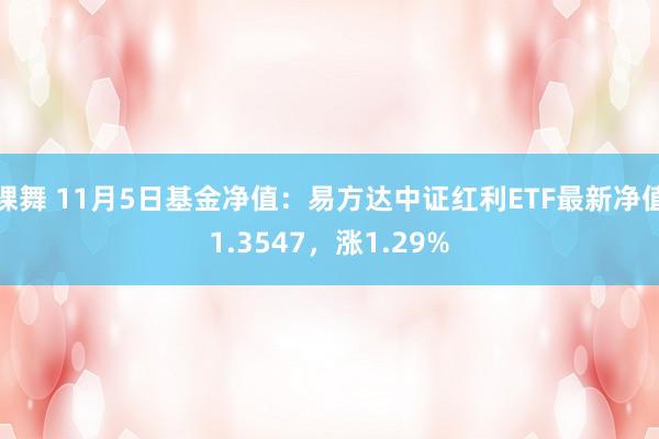 裸舞 11月5日基金净值：易方达中证红利ETF最新净值1.3547，涨1.29%