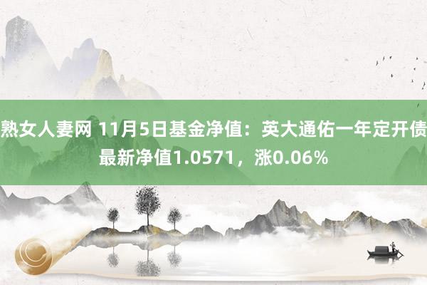 熟女人妻网 11月5日基金净值：英大通佑一年定开债最新净值1.0571，涨0.06%