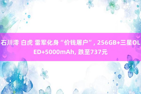 石川澪 白虎 雷军化身“价钱屠户”， 256GB+三星OLED+5000mAh， 跌至737元